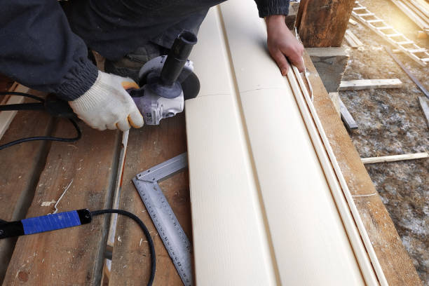 Best Vinyl Siding Installation  in El Jebel, CO